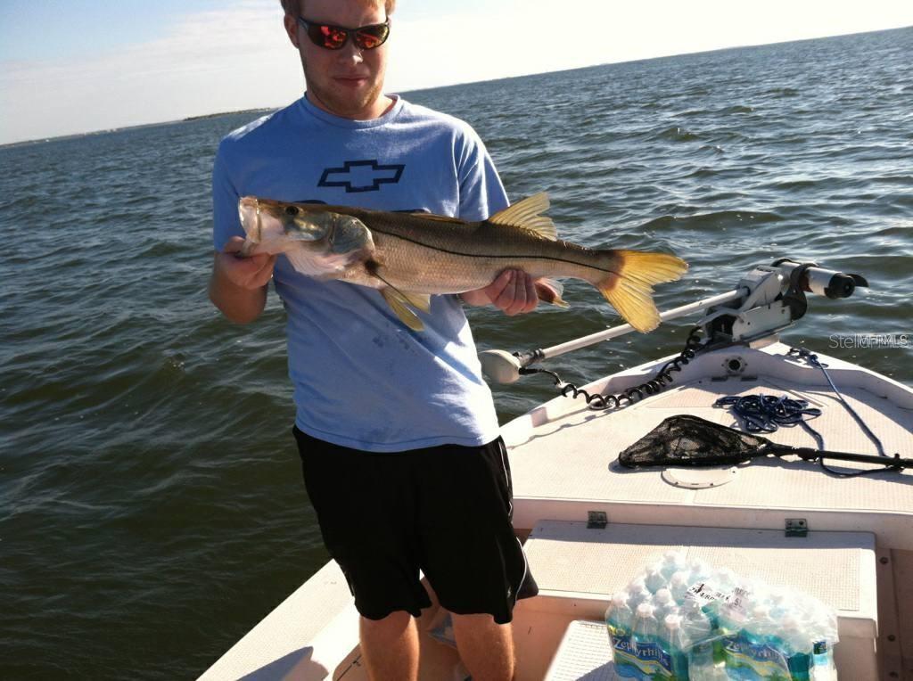 WOODS AT ANDERSON PARK - Residential