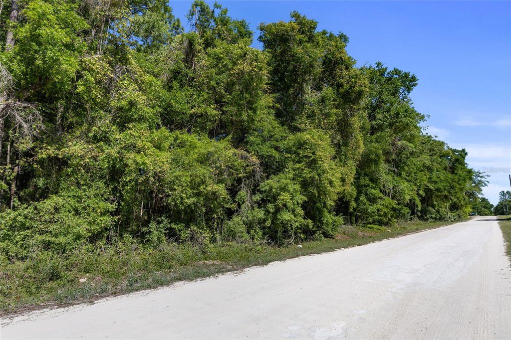 Photo of 00000 SE 139th Court, Dunnellon, FL 34431 (MLS # GC534715)