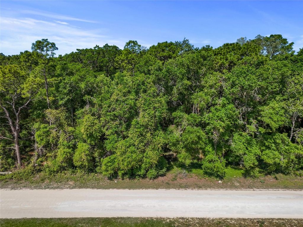 Photo of 00000 SE 139th Court, Dunnellon, FL 34431 (MLS # GC534715)