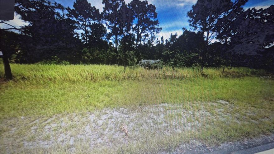 Beautiful 0.23-acre lot priced below market value! Located in the established Port Malabar community of Palm Bay, this lot offers city utilities and is perfect for building your dream home or investing for the future. Enjoy nearby shopping, dining, medical facilities, golf courses, and quick access to I-95, beaches, and Orlando attractions. Don’t miss this affordable slice of Florida paradise!