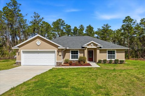 Photo of 4425 SW 113th Place, Ocala, FL 34476 (MLS # OM719933)