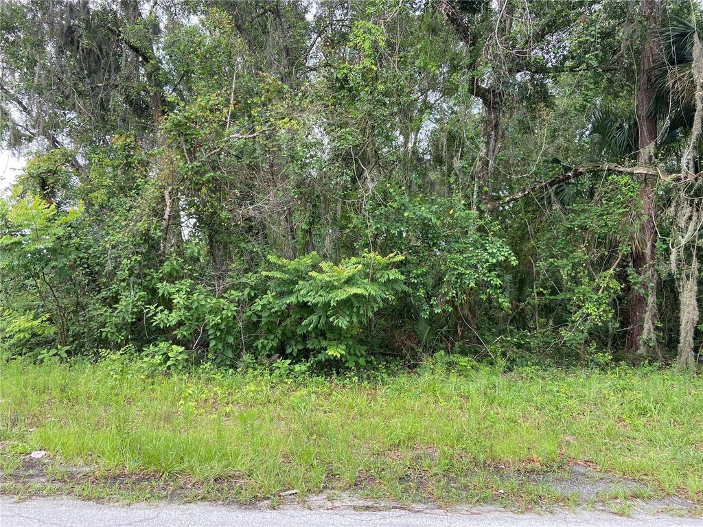 Photo of Wilson Avenue, Deland, FL 32720 (MLS # V4930539)