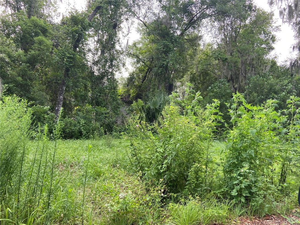 Photo of Wilson Avenue, Deland, FL 32720 (MLS # V4930539)