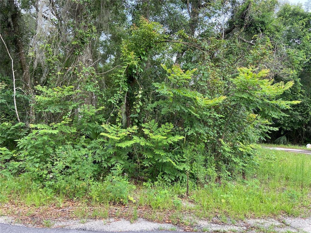 Photo of Wilson Avenue, Deland, FL 32720 (MLS # V4930539)