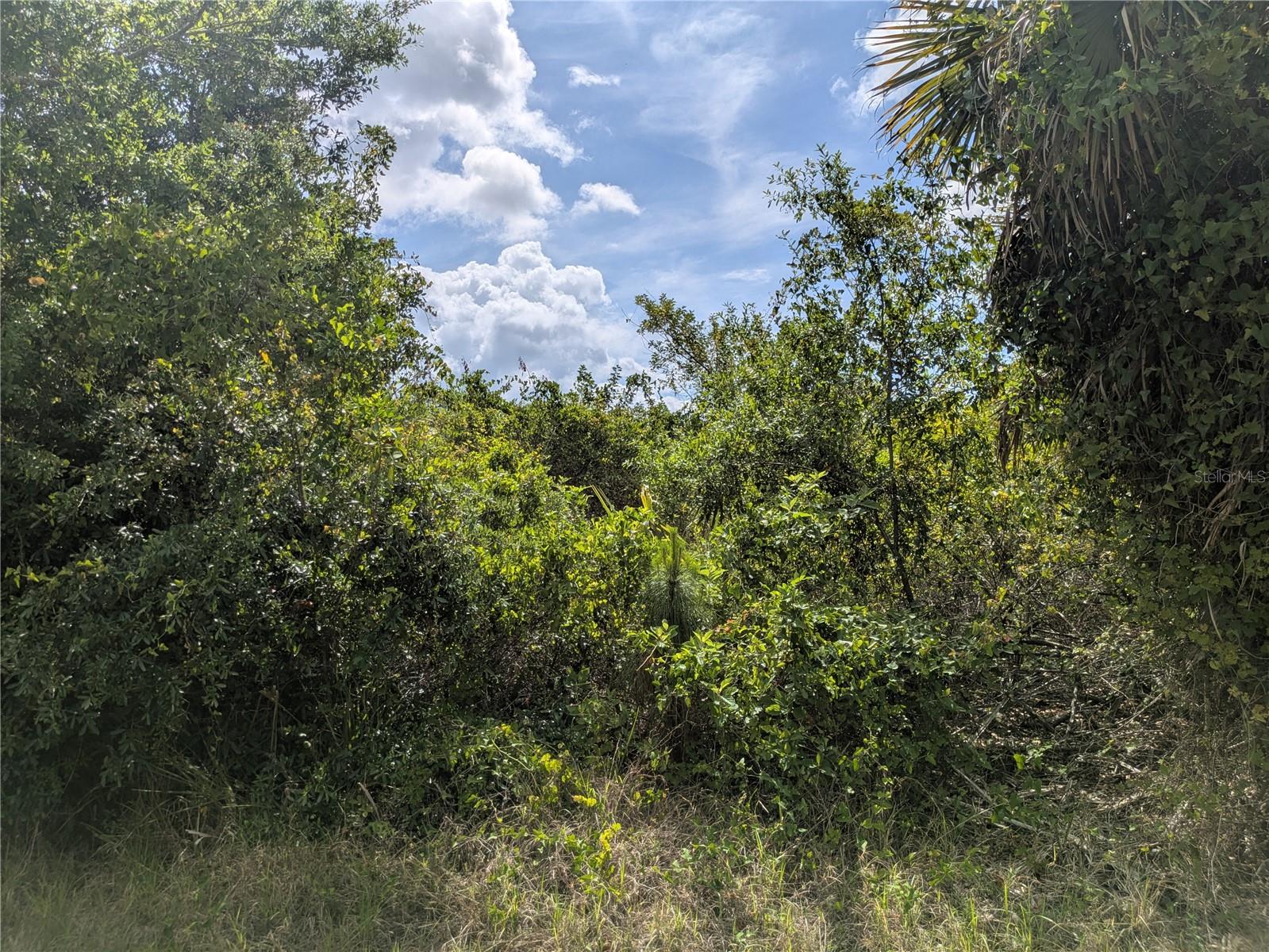 PORT CHARLOTTE SEC 095 - Land