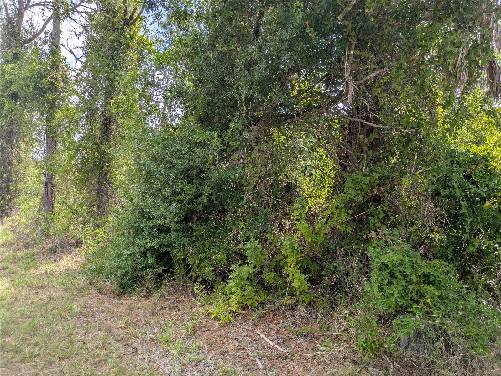 PORT CHARLOTTE SEC 095 - Land