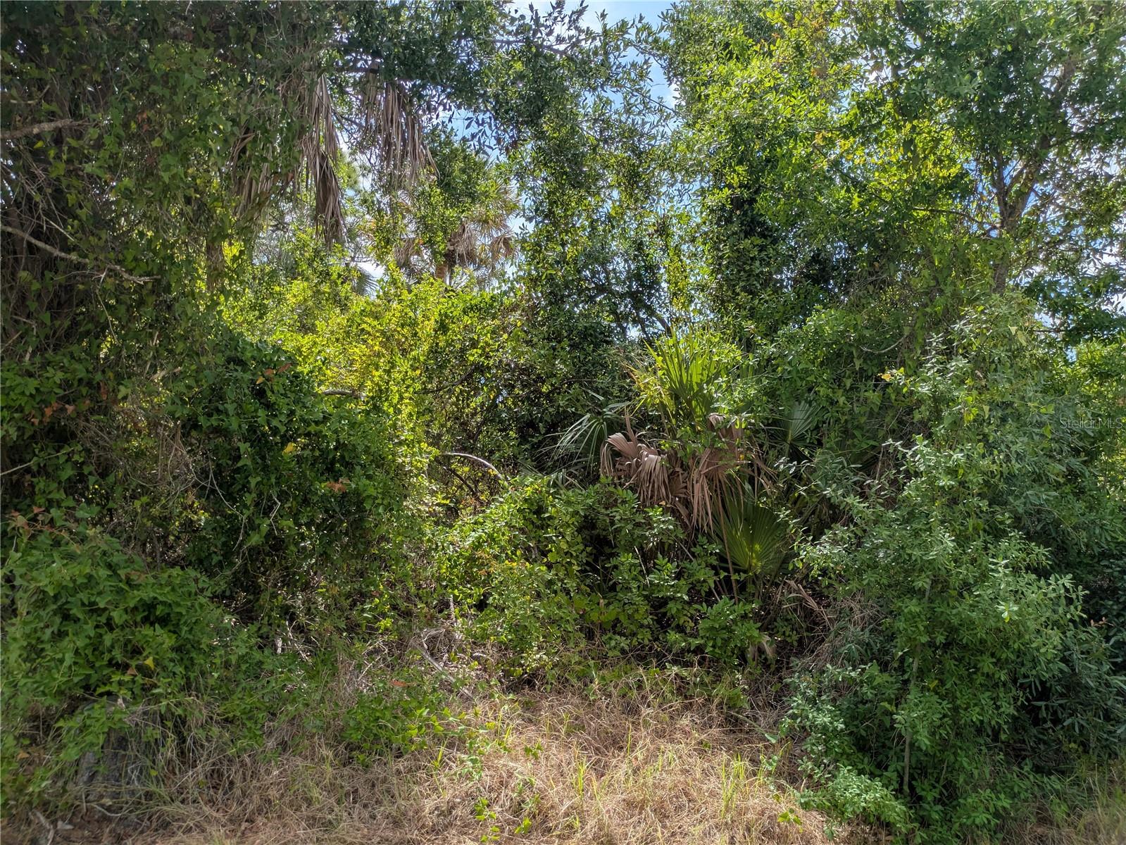 PORT CHARLOTTE SEC 095 - Land