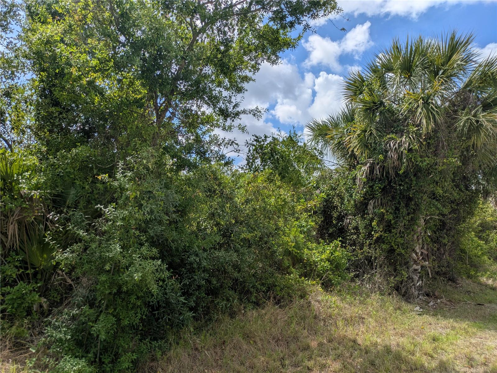 PORT CHARLOTTE SEC 095 - Land