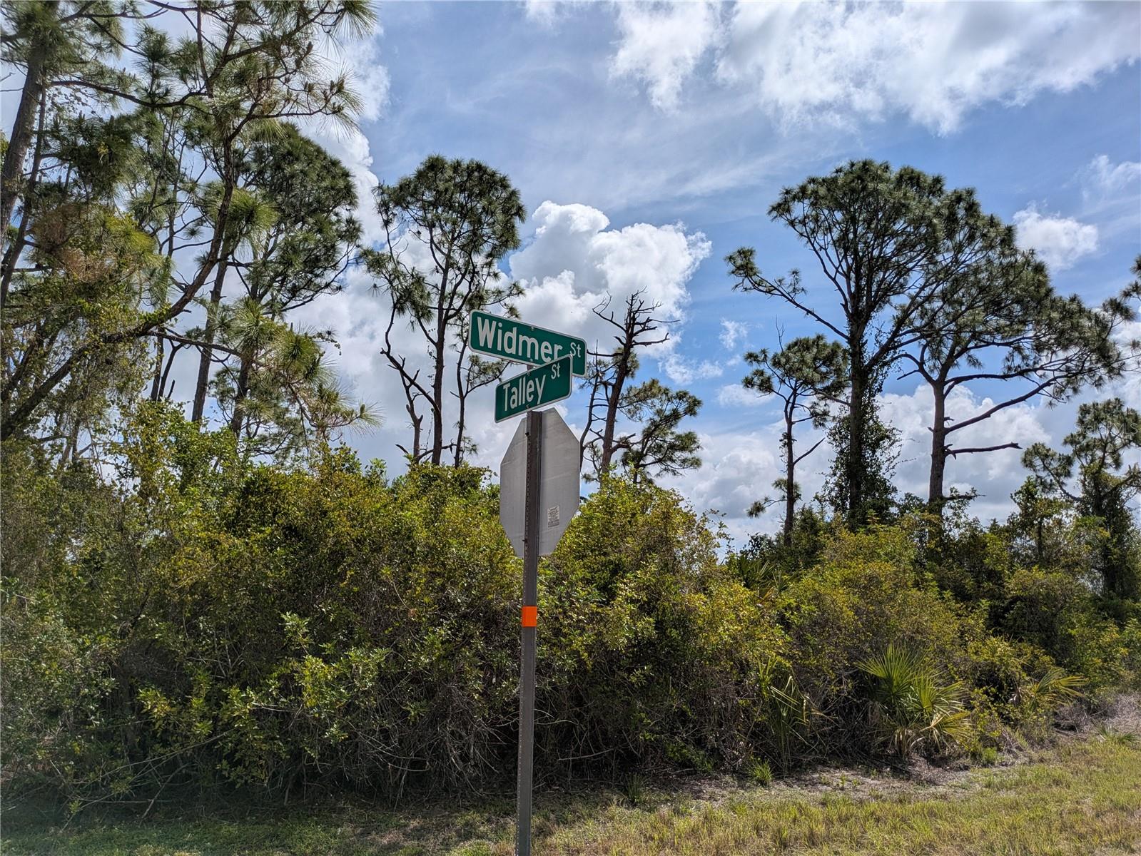 PORT CHARLOTTE SEC 095 - Land