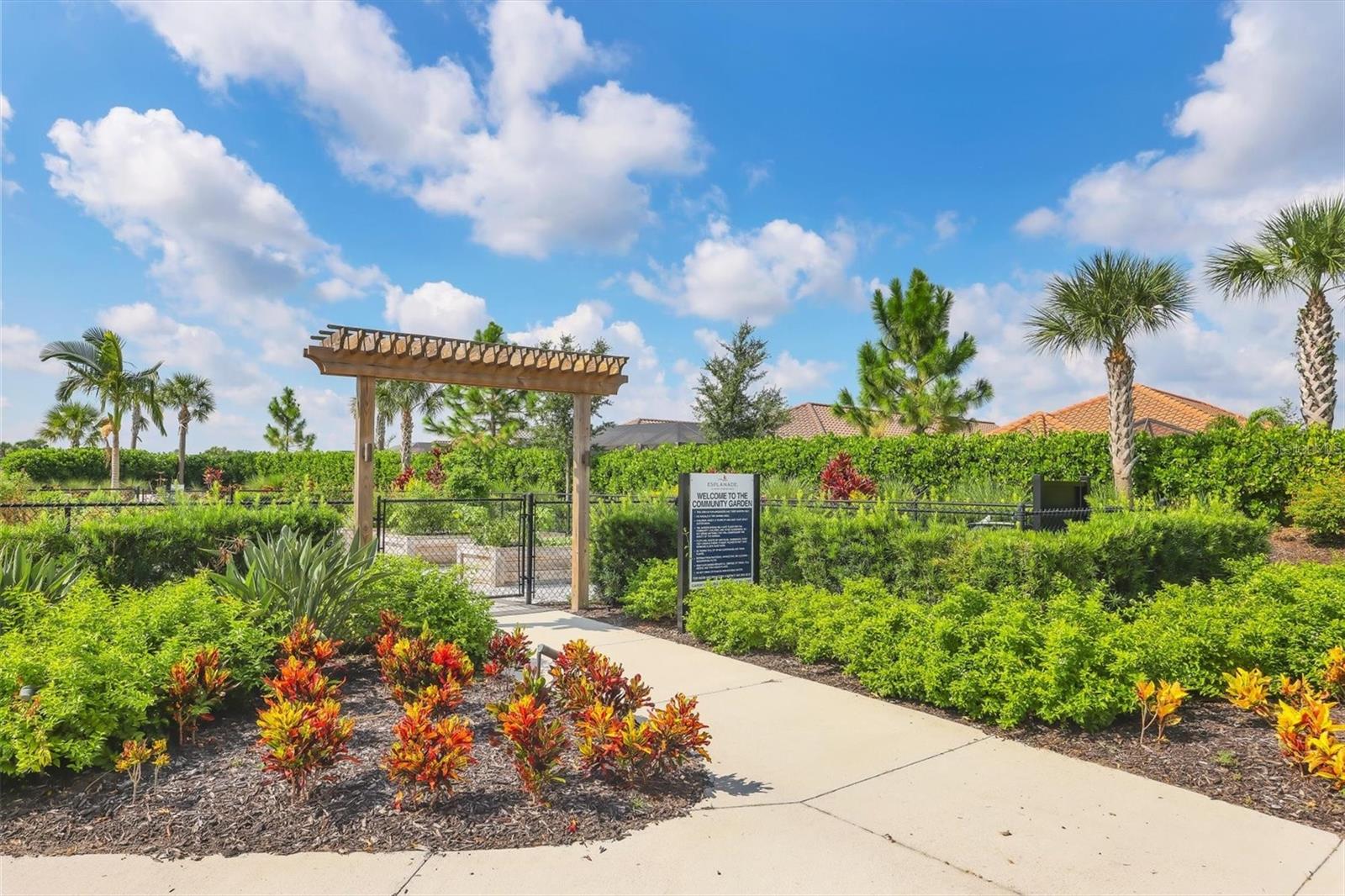 AZARIO ESPLANADE PH II SUBPH C-O - Residential