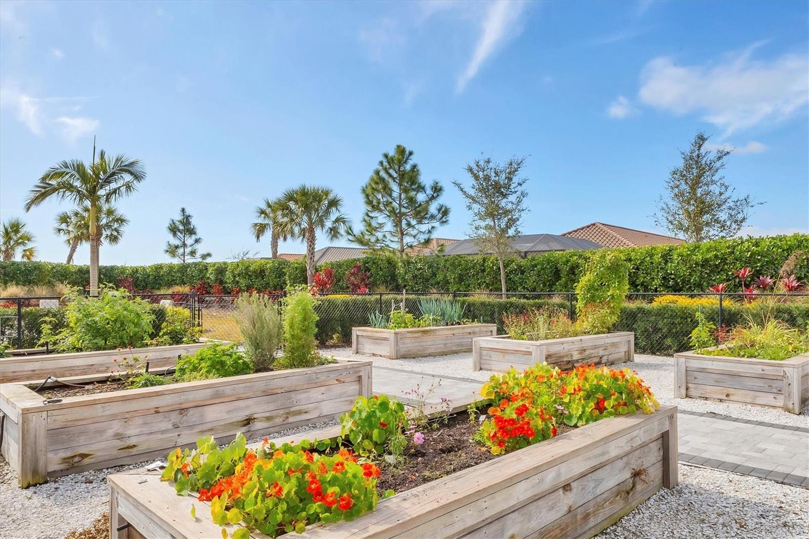 AZARIO ESPLANADE PH II SUBPH C-O - Residential