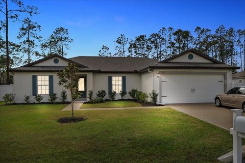 A home in PALM COAST