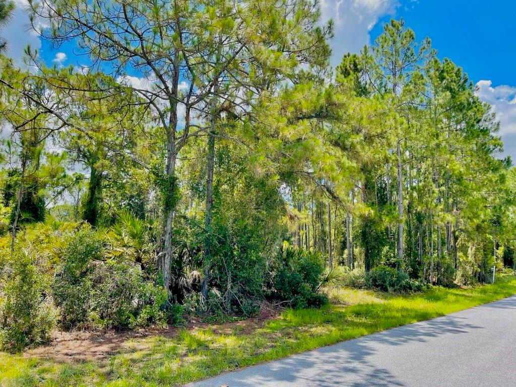 PORT CHARLOTTE SUB 26 - Land