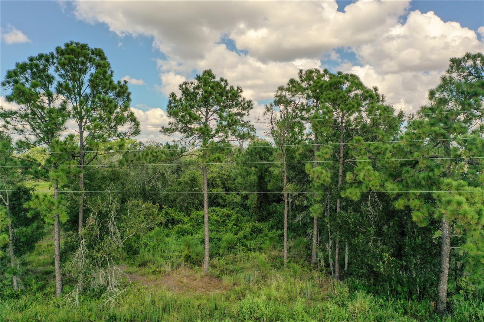 OAK RIDGE ESTATES - Land