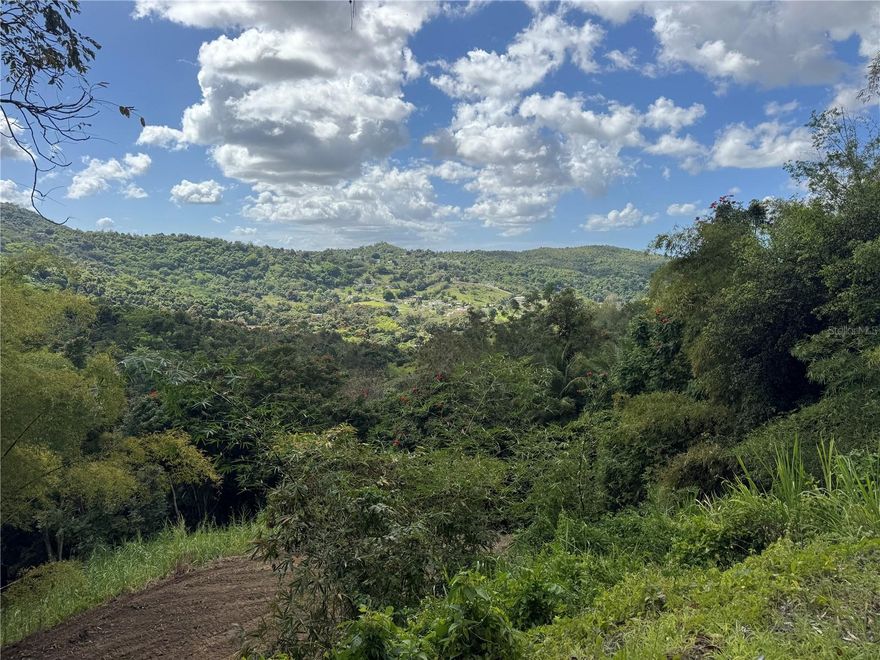 2-Acre Land for Sale – Canovanillas, Carolina, Puerto Rico
?
Build your dream home on this beautiful 2-acre deeded lot located in Canovanillas, Carolina, Puerto Rico. This spacious property offers endless possibilities—perfect for building your primary residence, storing heavy equipment, or starting a small farming project.
Surrounded by natural greenery and a peaceful rural setting, the land provides privacy while still being conveniently located near essential services. The area is known for its quiet countryside atmosphere and agricultural landscapes, offering a tranquil environment just minutes from the metropolitan area. 
The property offers easy access to main roads, hospitals, pharmacies, schools, and other conveniences, making it an ideal location for those seeking space and accessibility.
Luis Muñoz Marín airport 20 minutes away and Hipódromo El Comandante 15 minutes away. 
Don’t miss this opportunity to own land and build the lifestyle you’ve always wanted in a growing area of Carolina.