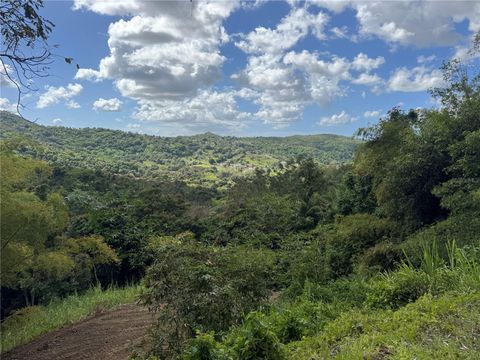 CARR 857 KM 6.3 CAROLINA  00987