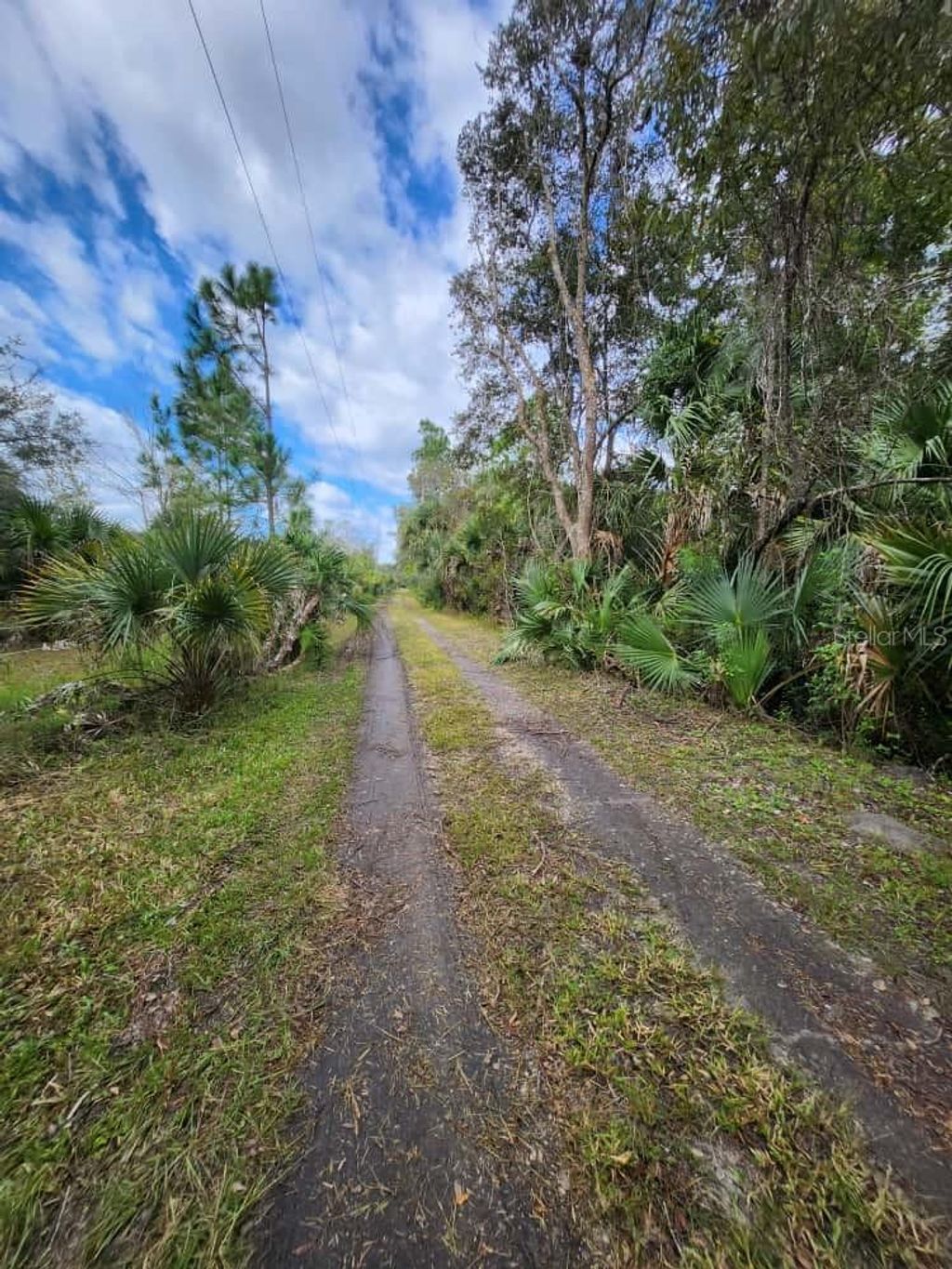 Photo of 1560 Saddle Run Drive, Osteen, FL 32764 (MLS # O6352276)