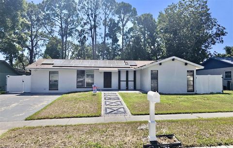 A home in VALRICO