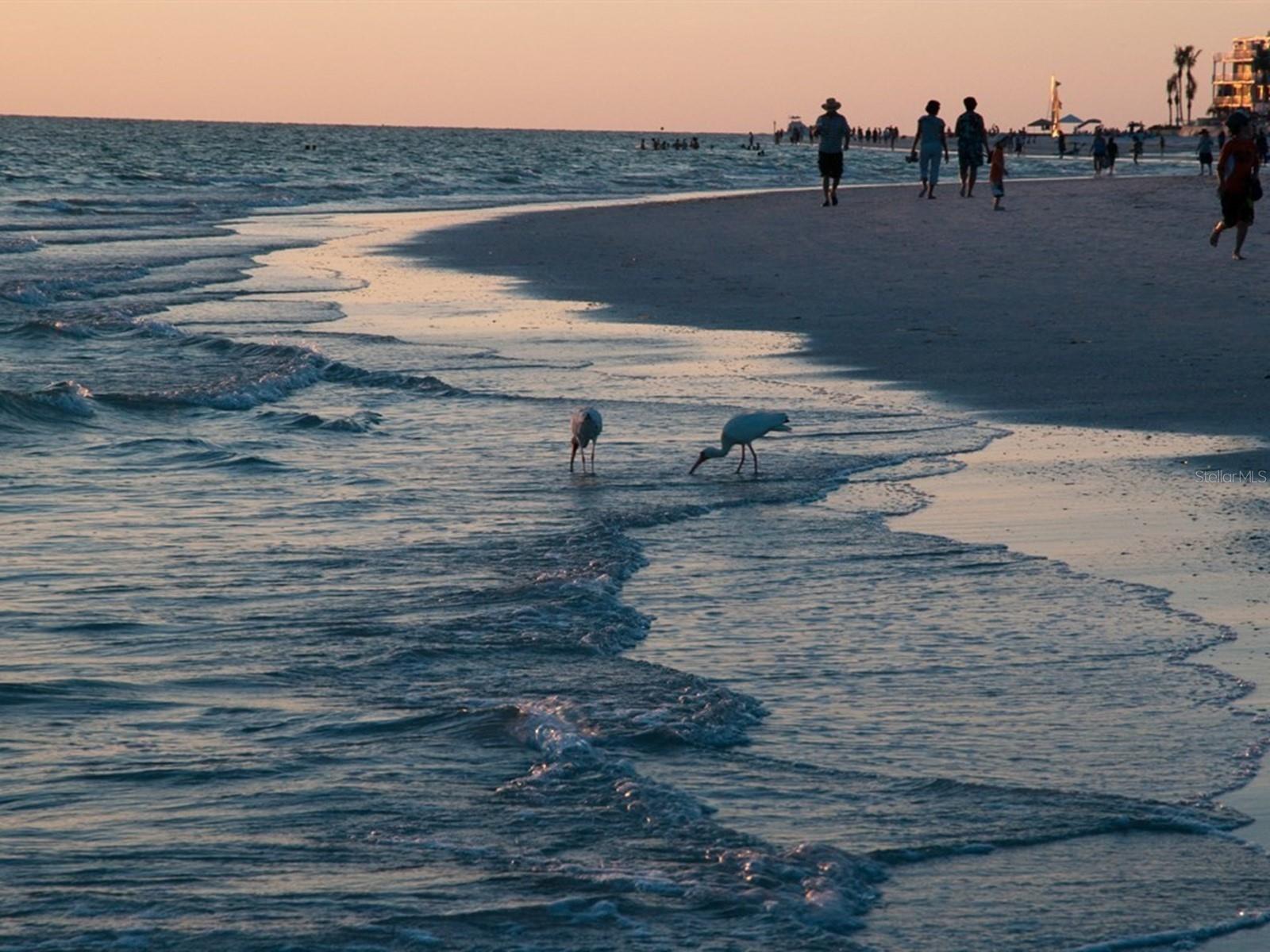 FAIRWAY WOODS - Residential