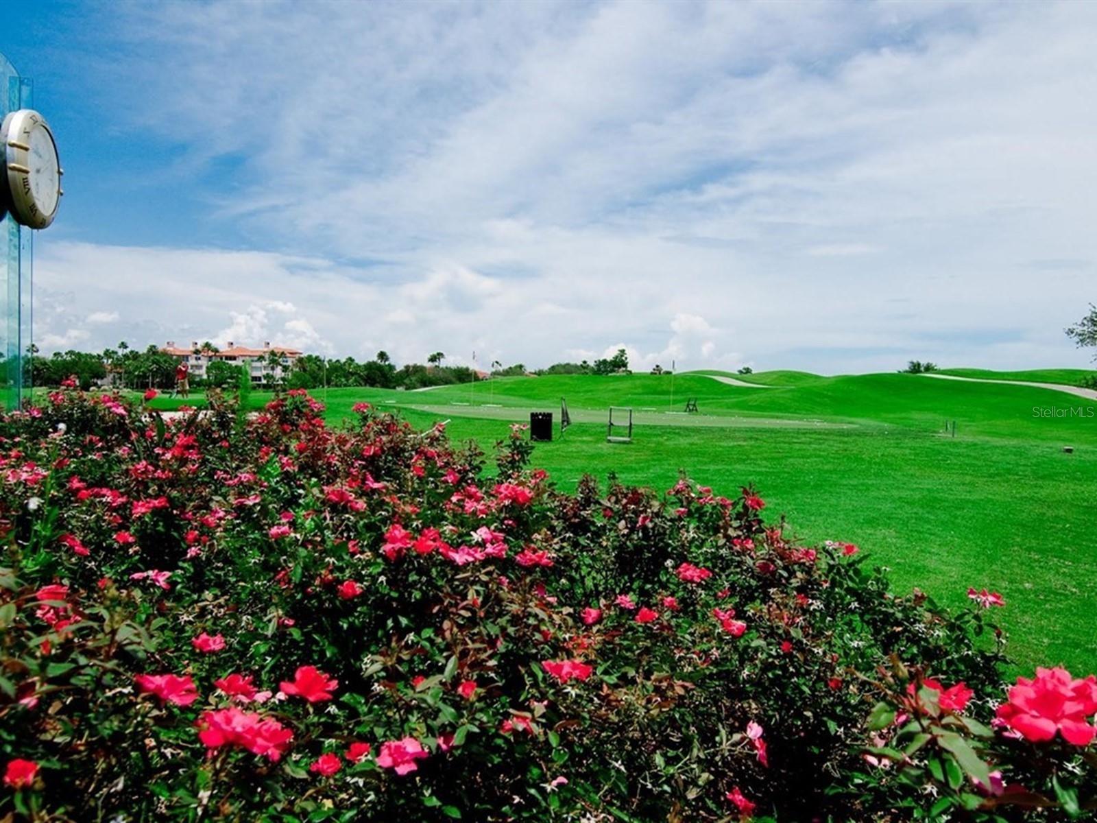 FAIRWAY WOODS - Residential