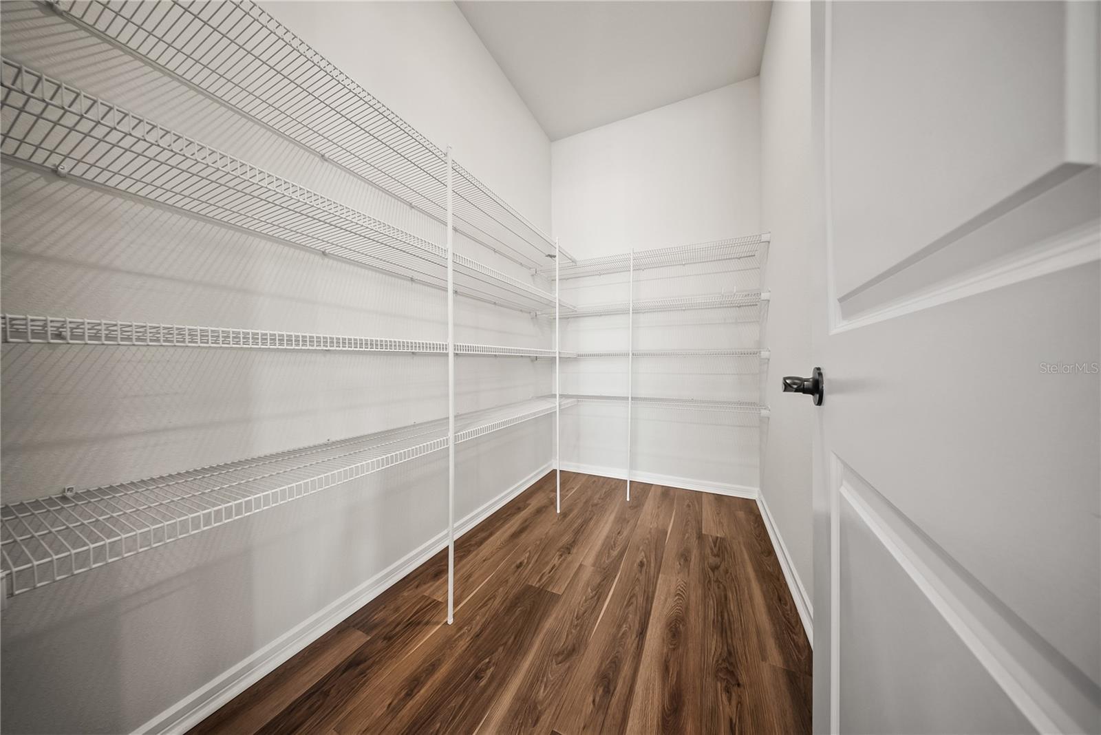 ISLES OF LAKE NONA - Residential