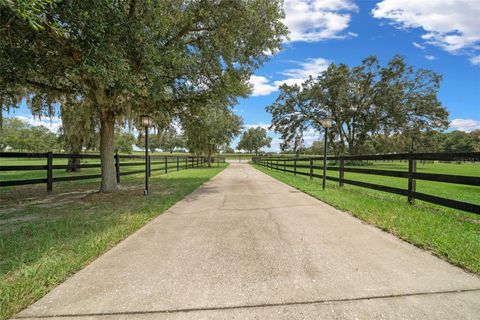 Tiny photo for 3024 Marion County Road, Weirsdale, FL 32195 (MLS # OM705068)
