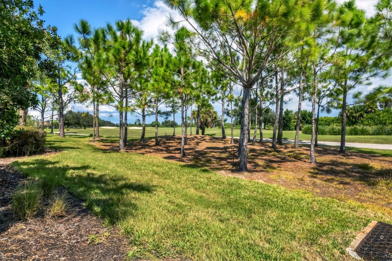 VENETIAN GOLF & RIVER CLUB PHA - Residential