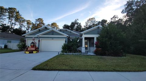 493 NOWELL LOOP DELAND FL 32724