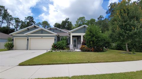 Photo of 493 Nowell Loop, Deland, FL 32724 (MLS # V4944708)