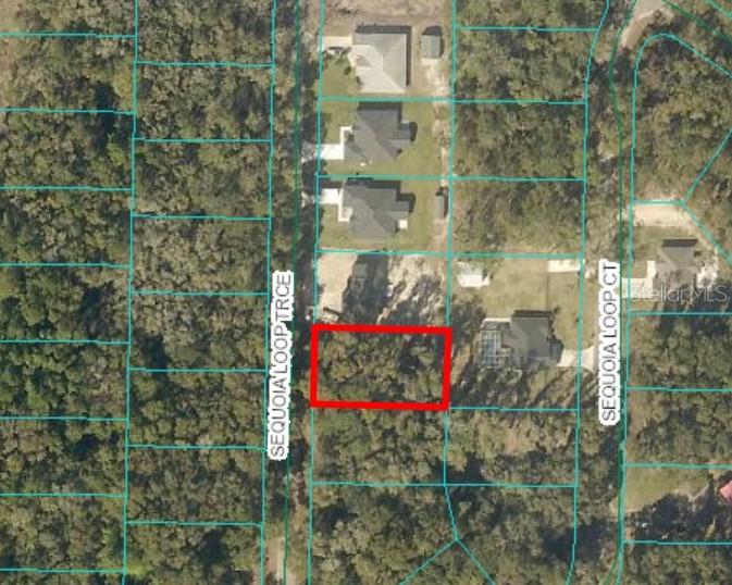 Build your dream home on this up-and-coming community in Silver Springs Shores! Perfect lot for building with electric close and paved roads. Explore the natural beauty of this region, with its proximity to numerous lakes, ponds, springs, the Ocklawaha River, the Ocala National Forest, and Lake Weir. You'll also enjoy convenient access to Ocala, Belleview, and The Villages. Don't miss out on this great opportunity!