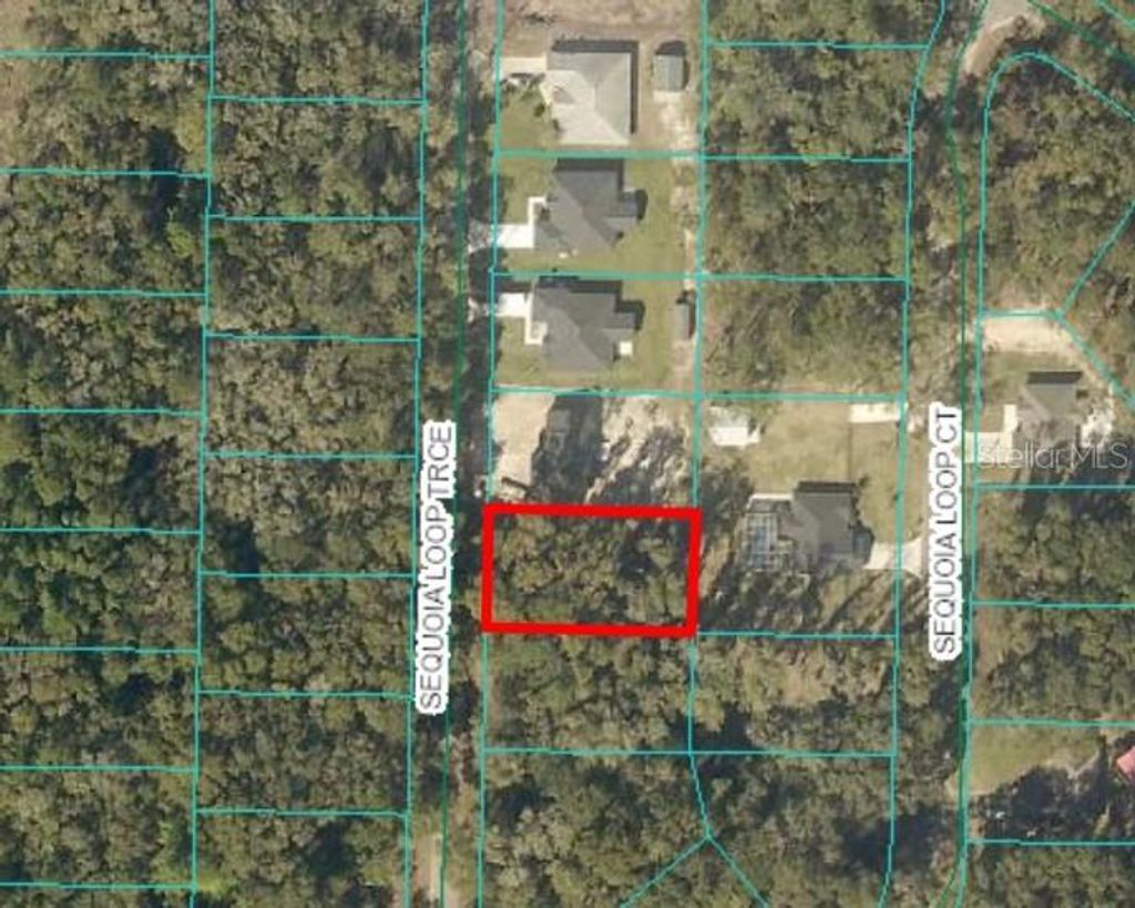 Photo of 17 Sequoia Trace, Ocklawaha, FL 32179 (MLS # O6324939)