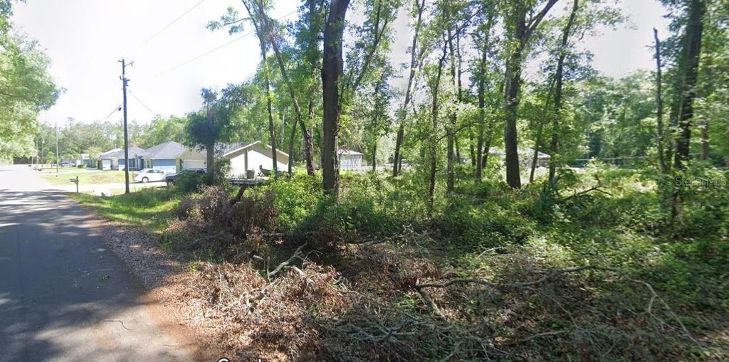 Photo of 17 Sequoia Trace, Ocklawaha, FL 32179 (MLS # O6324939)