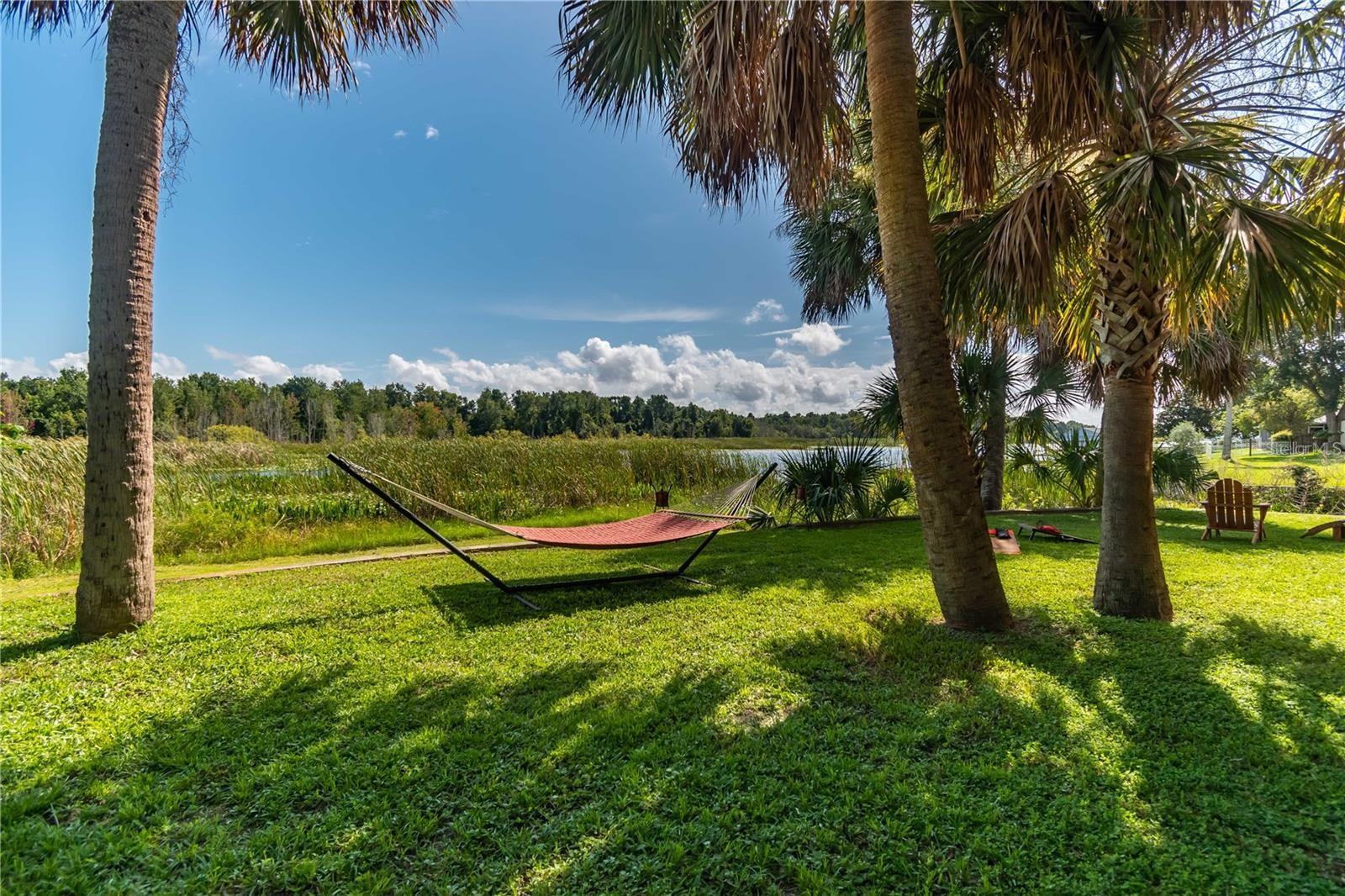 TIMUCUAN ISLAND - Residential