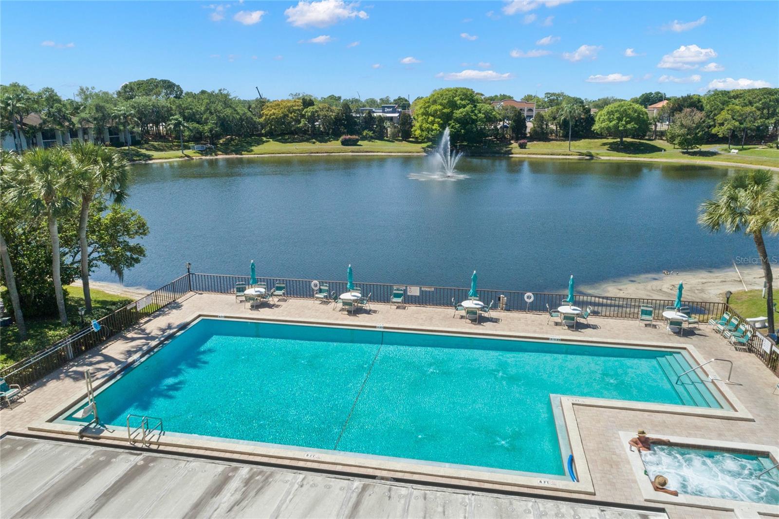 PINE RIDGE AT LAKE TARPON VILLAGE - Residential