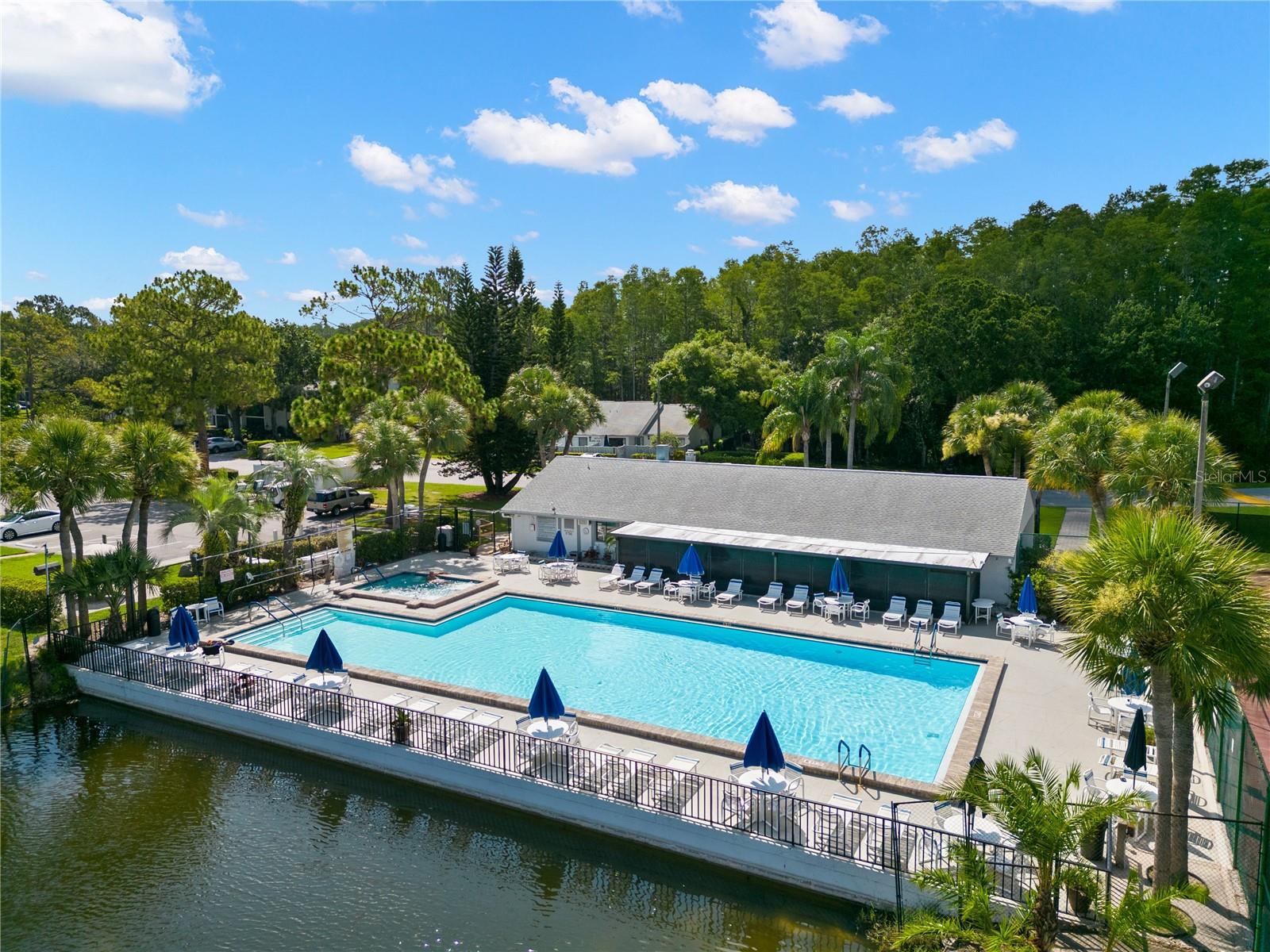 PINE RIDGE AT LAKE TARPON VILLAGE - Residential