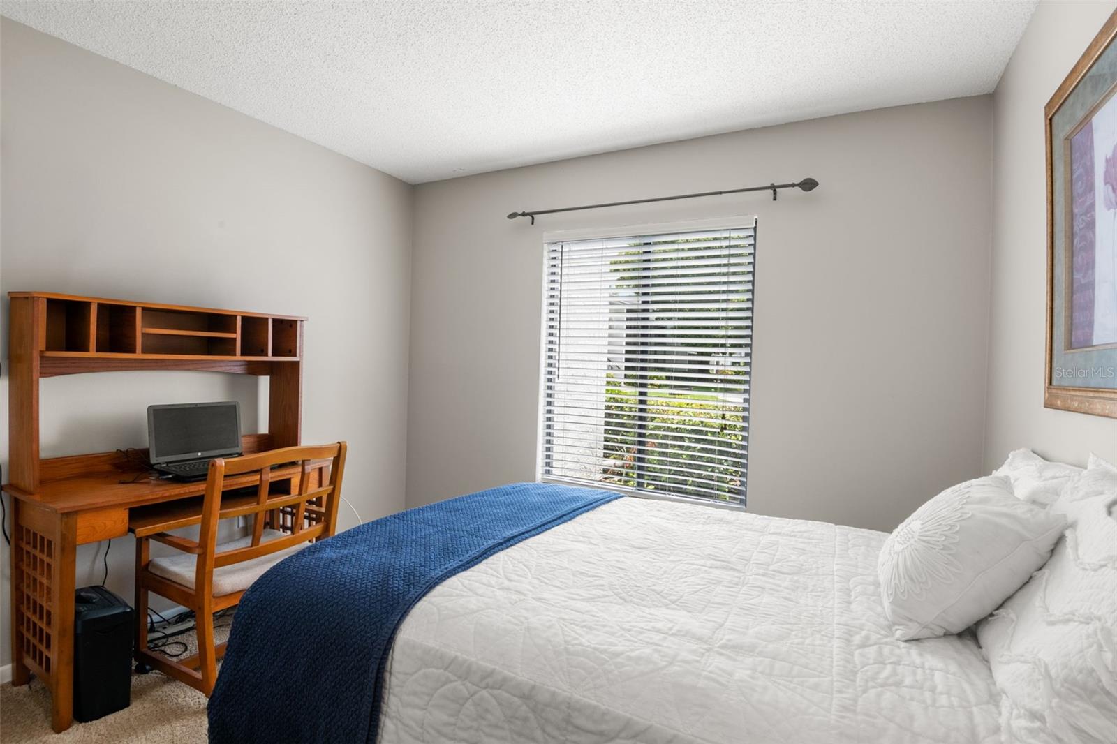 PINE RIDGE AT LAKE TARPON VILLAGE - Residential