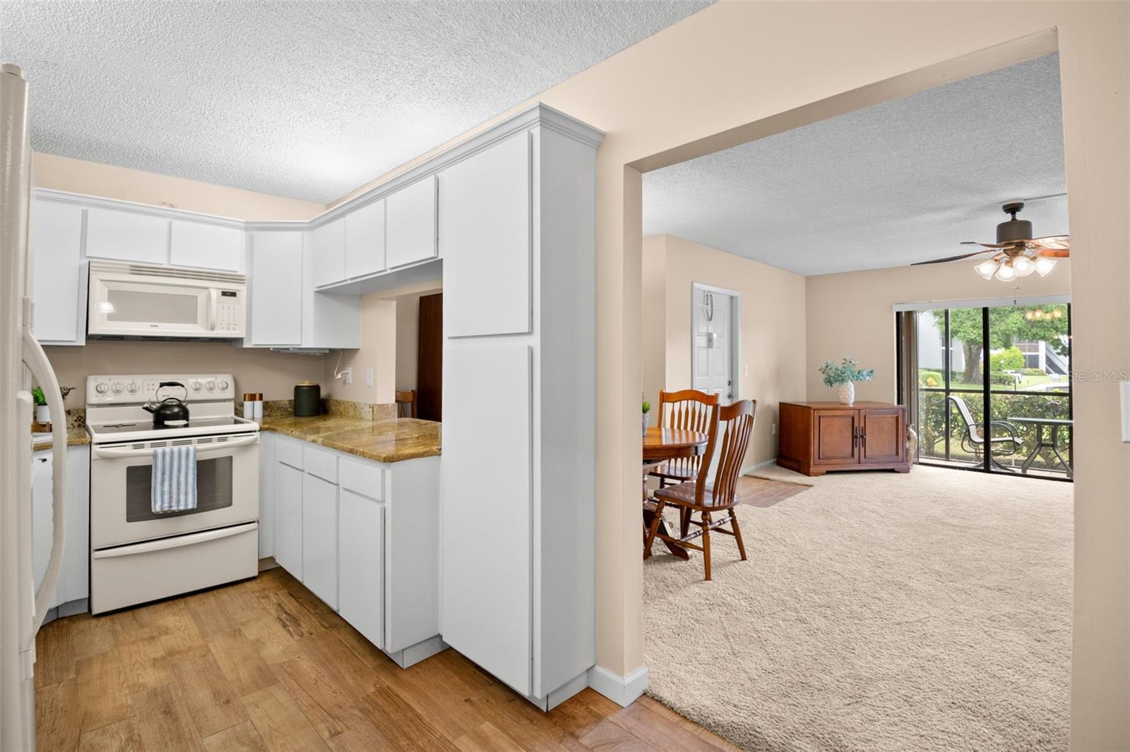 PINE RIDGE AT LAKE TARPON VILLAGE - Residential