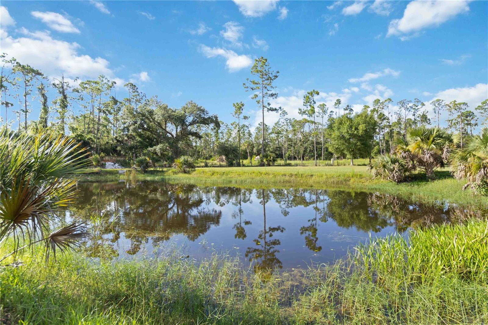 NORTH PORT CHARLOTTE ESTATES - Residential