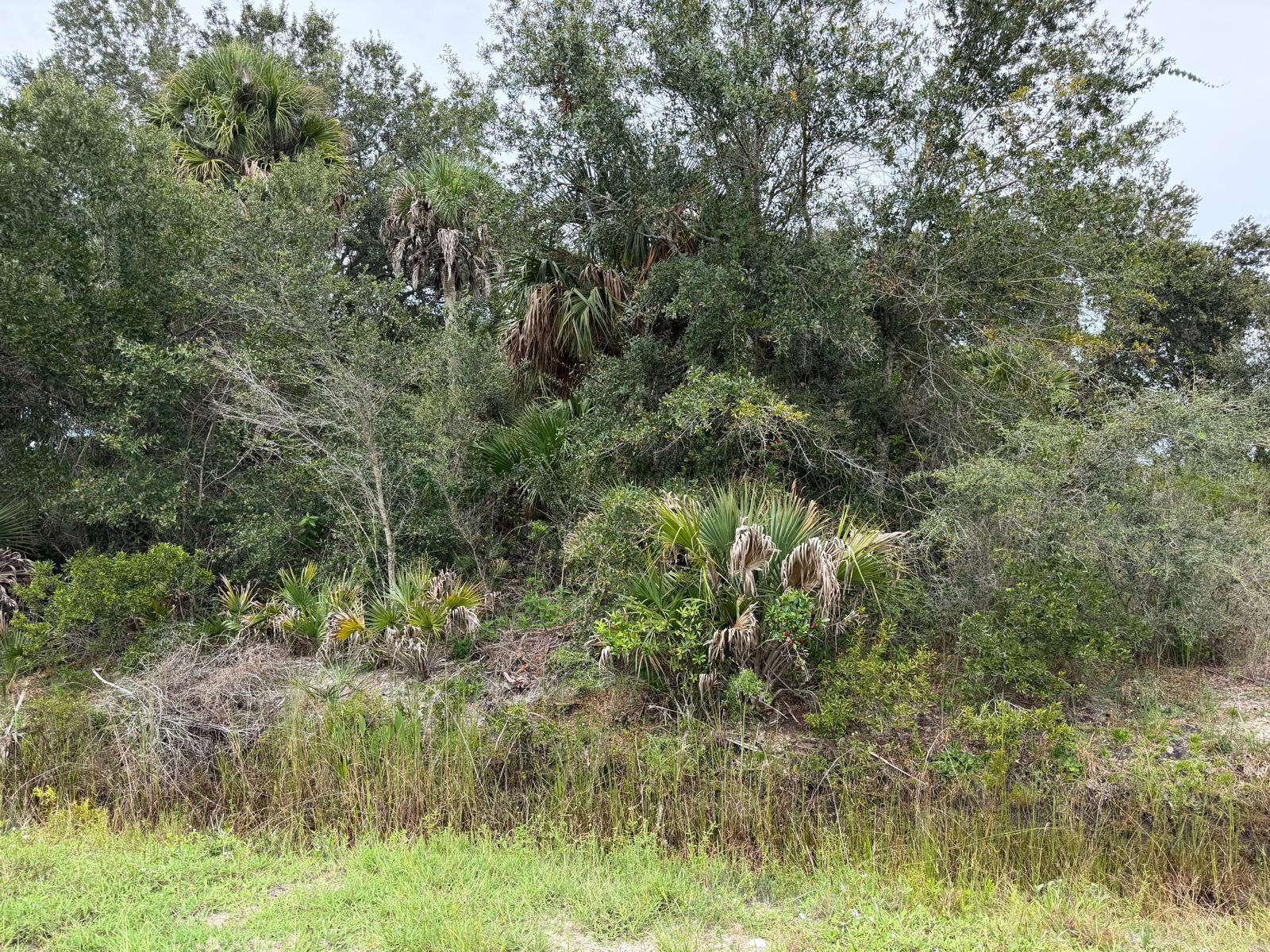 16434 NW 318TH STREET
