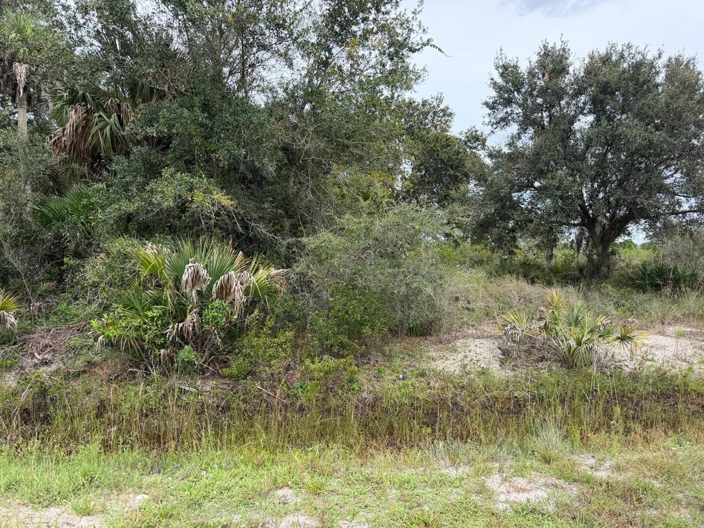 Photo of 16434 NW 318th Street, Okeechobee, FL 34972 (MLS # C7531977)
