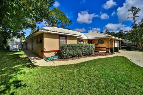 A home in PALM COAST