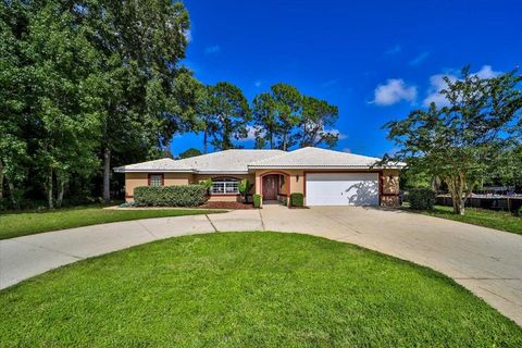 A home in PALM COAST