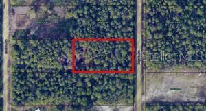 Welcome to Rural Living at Its Finest close to the Beach and major cities! Don't miss this incredible opportunity to own a 1.14-acre wooded residential lot in the sought-after Flagler Estates community, located in highly desirable St. Johns County. This spacious lot offers the perfect setting for site-built single-family home or even manufactured, modular home. Property is outside the flood zone and comes with no HOA fees, giving you the freedom to truly make it your own. Want to bring your farm animals? They're welcome here! Whether you're dreaming of a quiet homestead or looking to invest in a growing area, this lot combines peaceful, rural living with convenient access to nearby amenities. Build your dream home today in Flagler Estates! Drive by, call and submit your offer today.