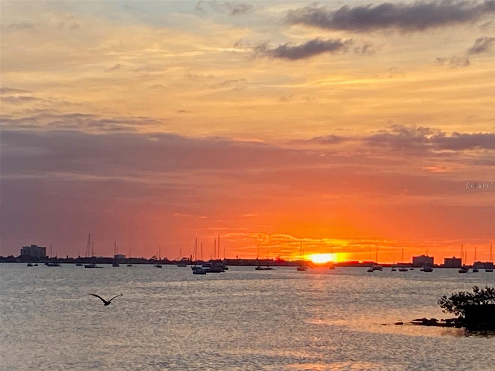 BURNS F J REALTY COS REV - Residential Lease