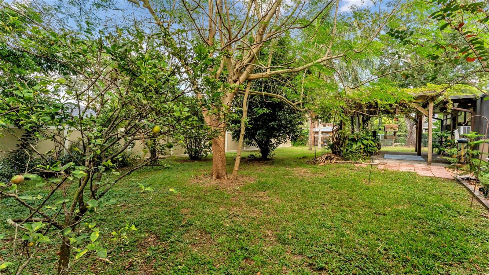 MEADOW VIEW ESTATES PB 68 PG 48 - Residential