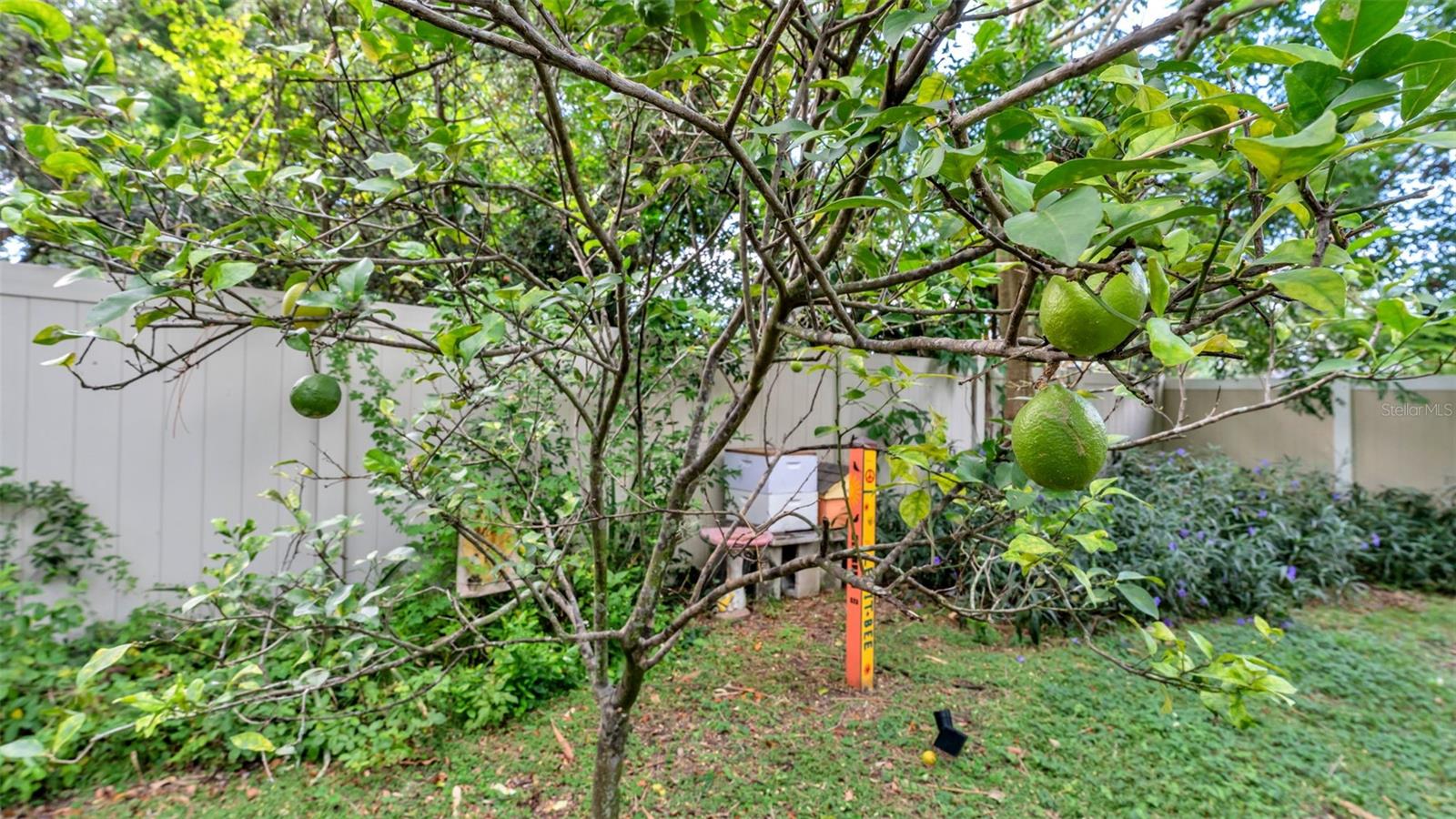 MEADOW VIEW ESTATES PB 68 PG 48 - Residential