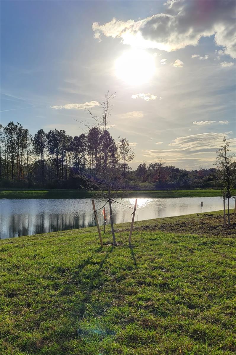 ASTONIA NORTH - Residential Lease