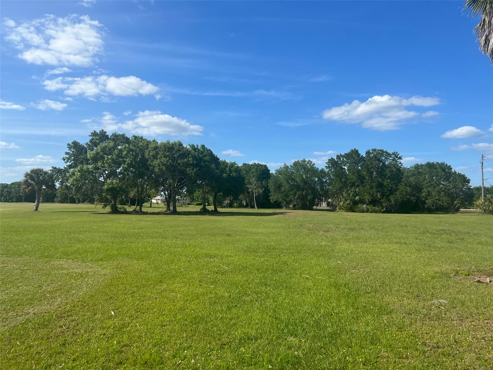 Own 0.89 acres to build your dream home on the first hole of the Paradise Golf Club. The lot has been cleared and is ready for you to call this your home. Also, 1 mile down the road is public boat access on the Peace River!! Just minutes from I-75. Buyer to verify all measurements of the lot.