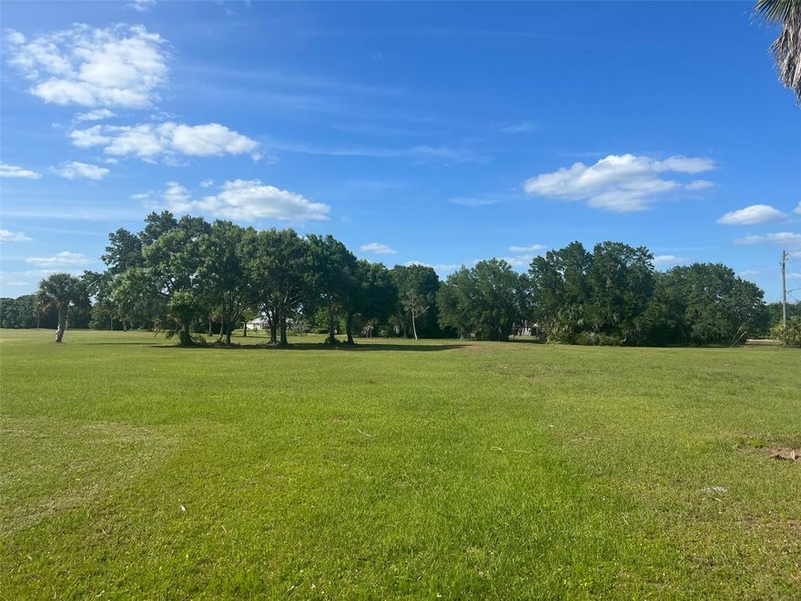 Own 0.89 acres to build your dream home on the first hole of the Paradise Golf Club.  The lot has been cleared and is ready for you to call this your home.  Also, 1 mile down the road is public boat access on the Peace River!! Just minutes from I-75.  Buyer to verify all measurements of the lot.