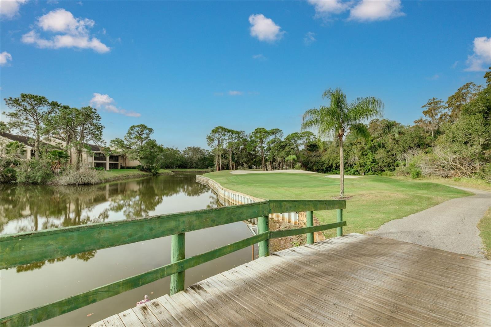 EAST LAKE WOODLANDS - Residential